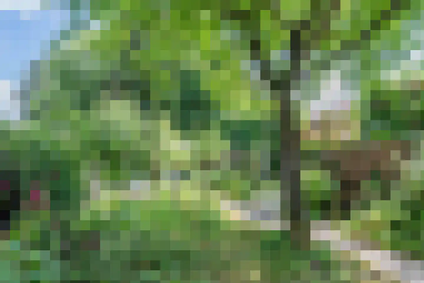 Waterweg 2 De Bilt thumbnail 30