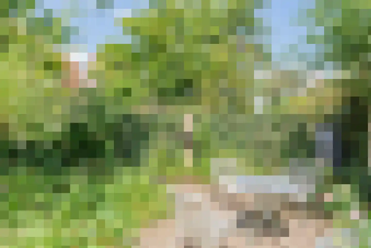 Waterweg 2 De Bilt thumbnail 31