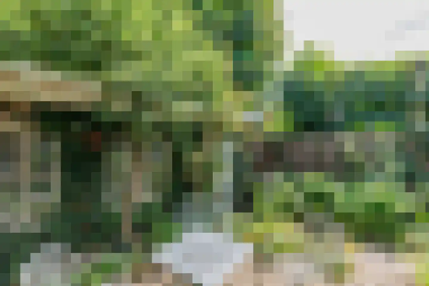 Waterweg 2 De Bilt thumbnail 35