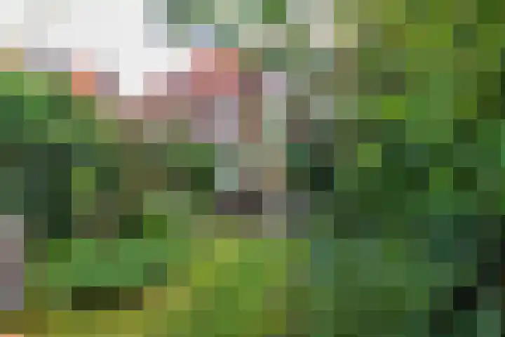 Waterweg 221 De Bilt thumbnail 36