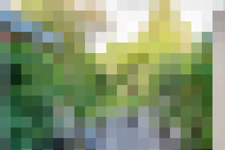 Waterweg 221 De Bilt thumbnail 37