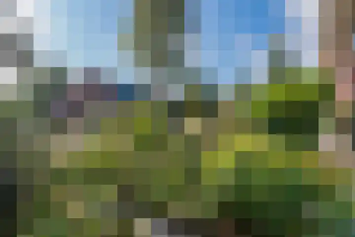 Waterweg 221 De Bilt thumbnail 7