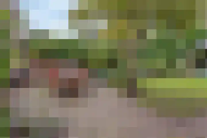 Waterweg 36 De Bilt thumbnail 31