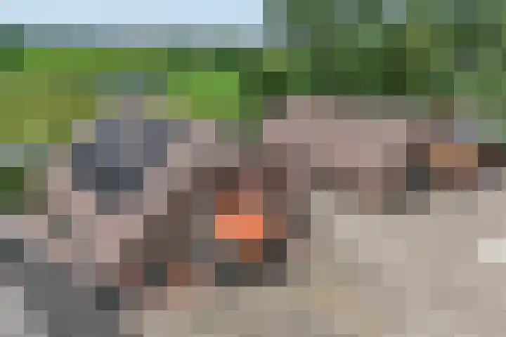 Waterweg 50 Putten thumbnail 6