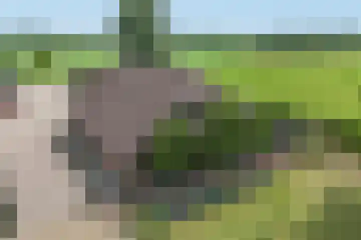 Waterweg 50 Putten thumbnail 7