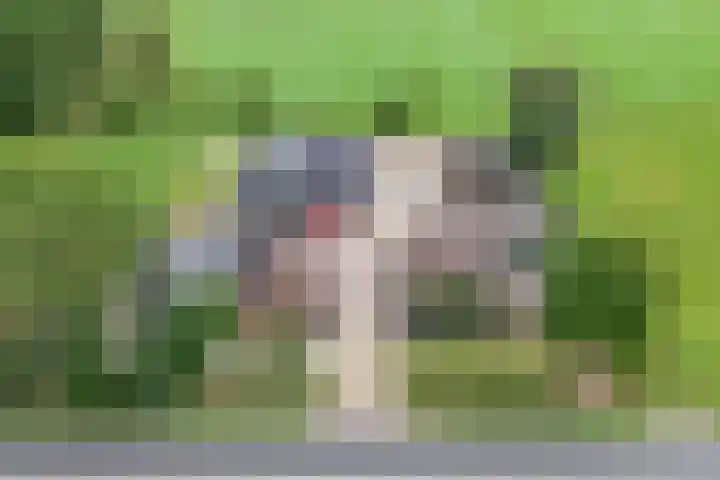 Waterweg 50 Putten thumbnail 8