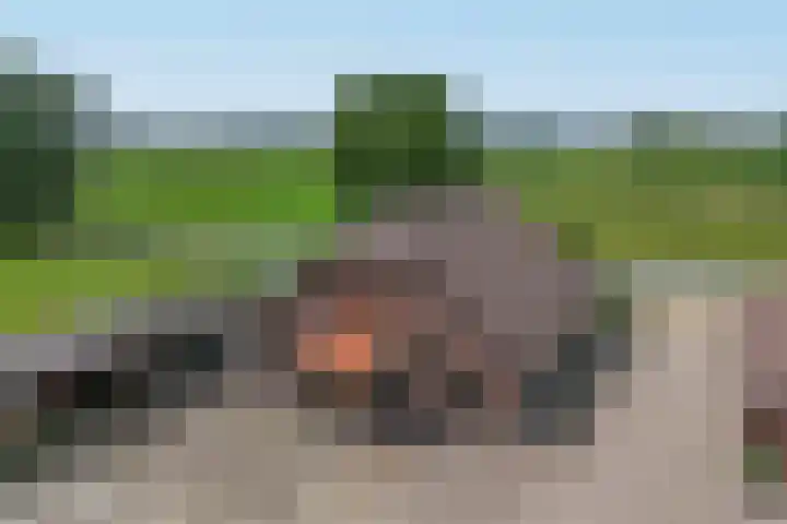 Waterweg 50 Putten thumbnail 9