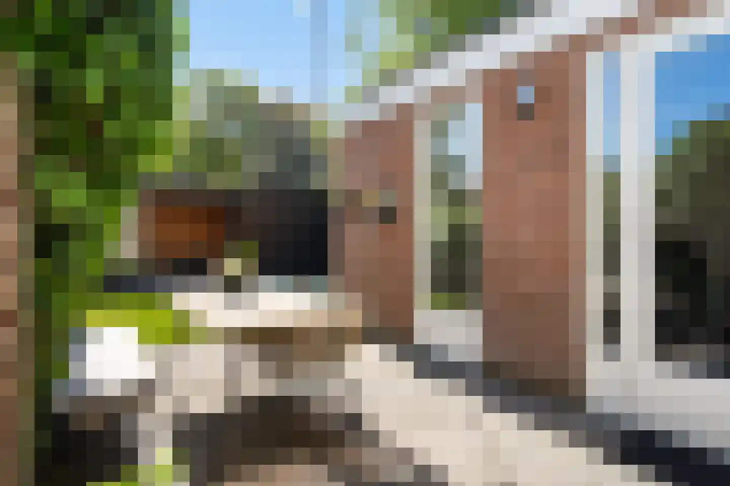 Waterweg 6 De Bilt thumbnail 16