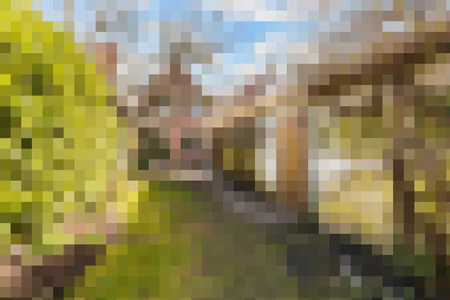 Waterweg 77 De Bilt thumbnail 42