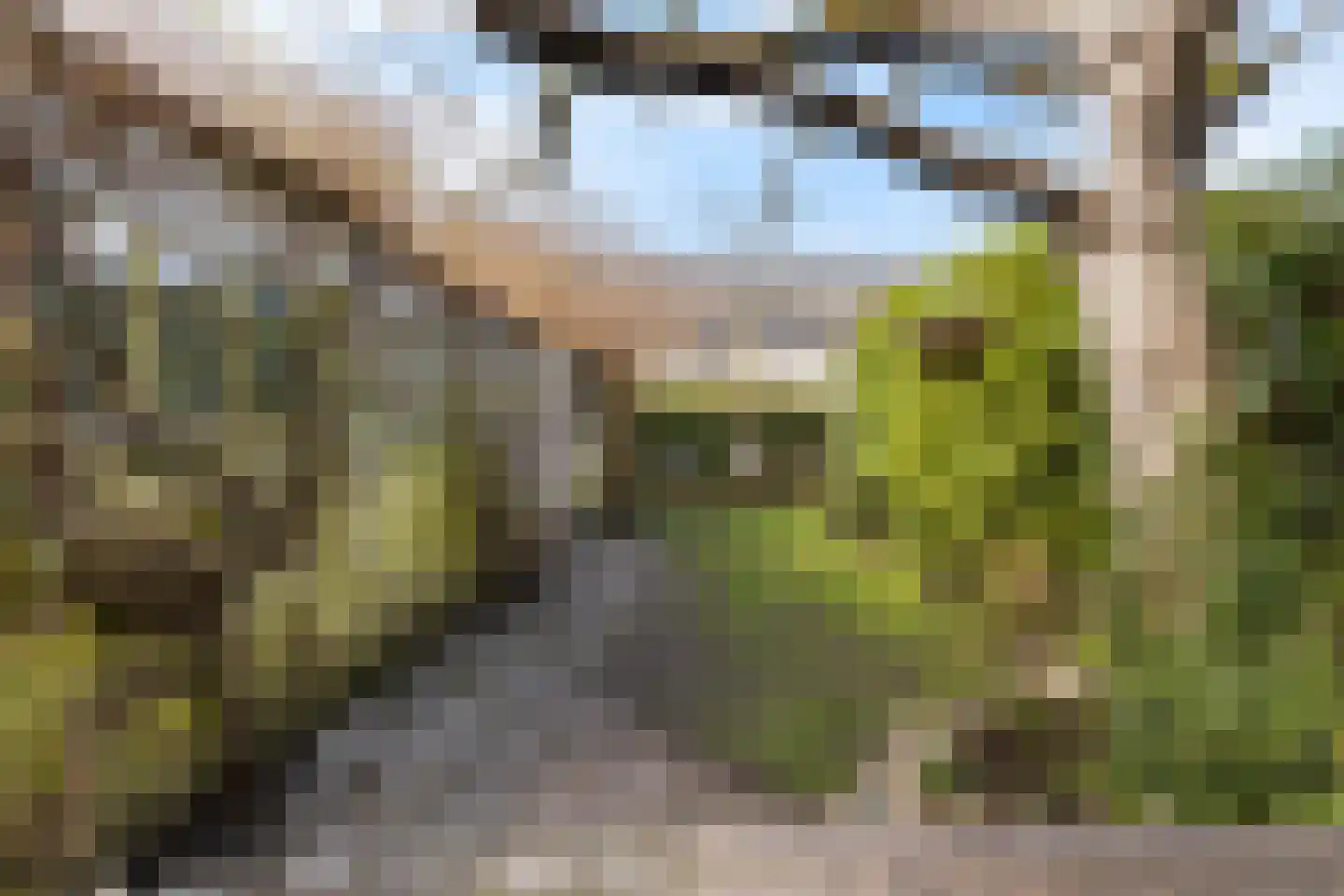 Waterweg 77 De Bilt thumbnail 43