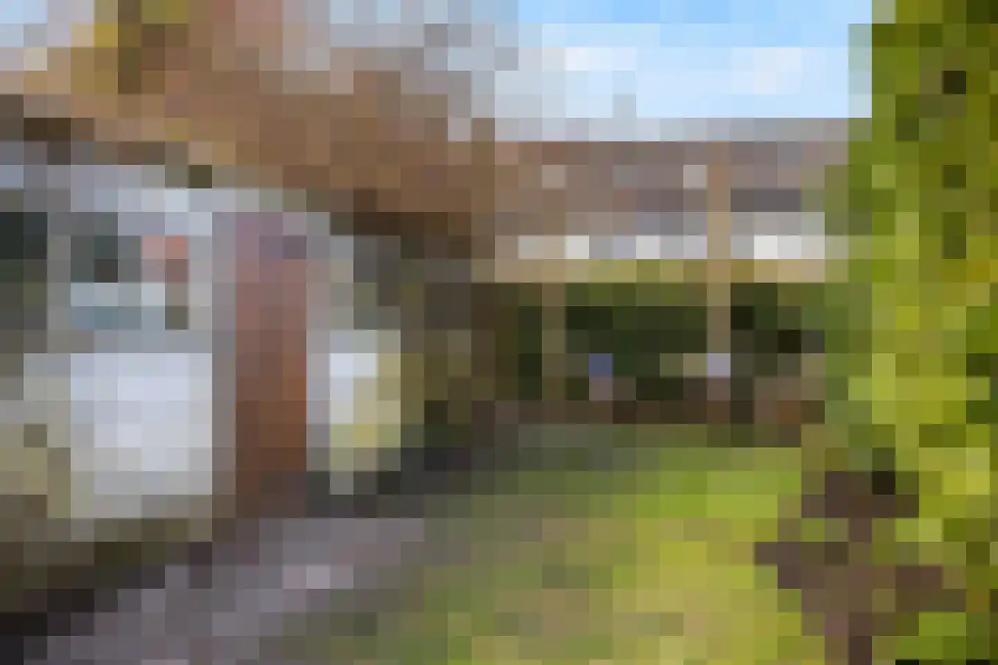 Waterweg 77 De Bilt thumbnail 45