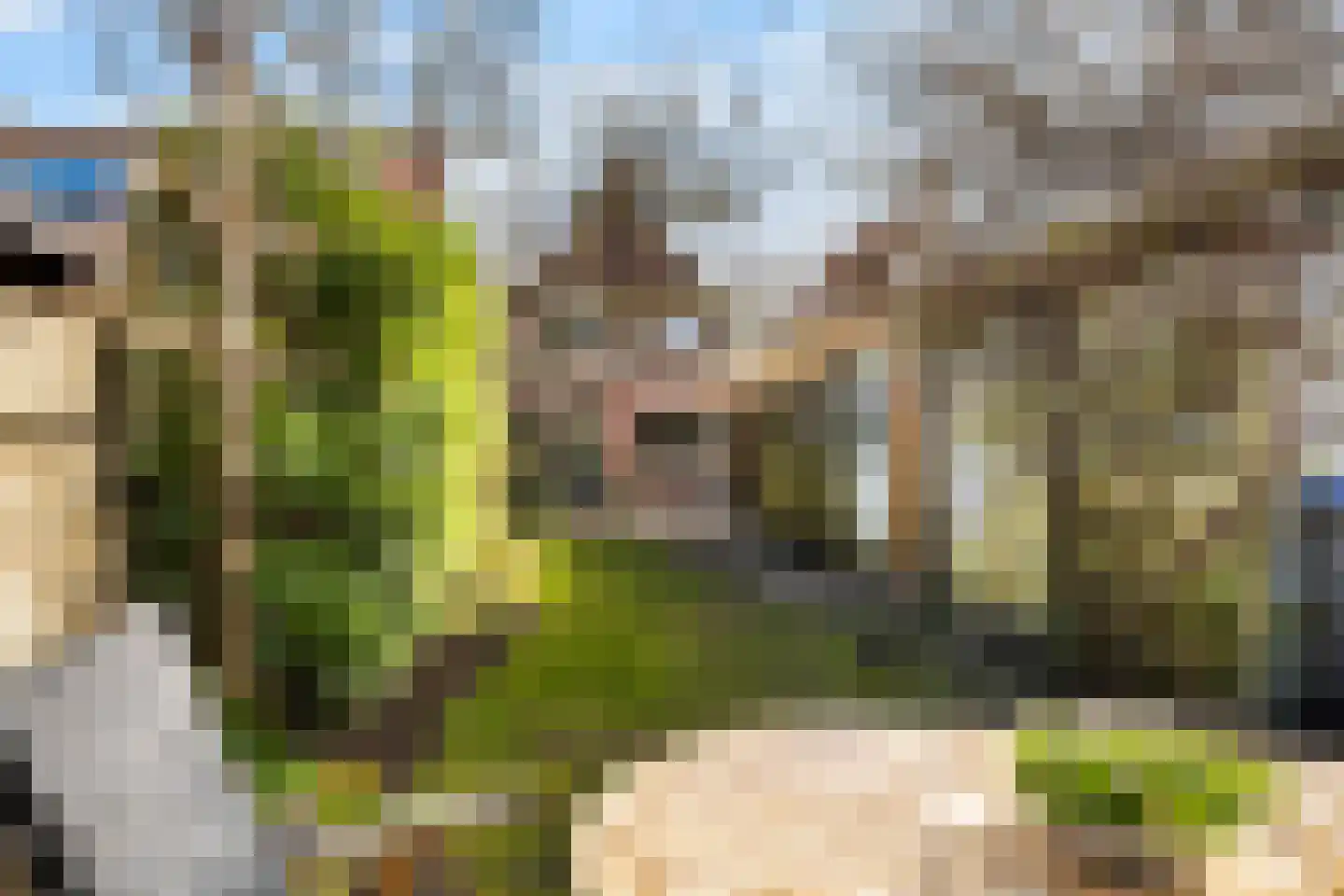 Waterweg 77 De Bilt thumbnail 48