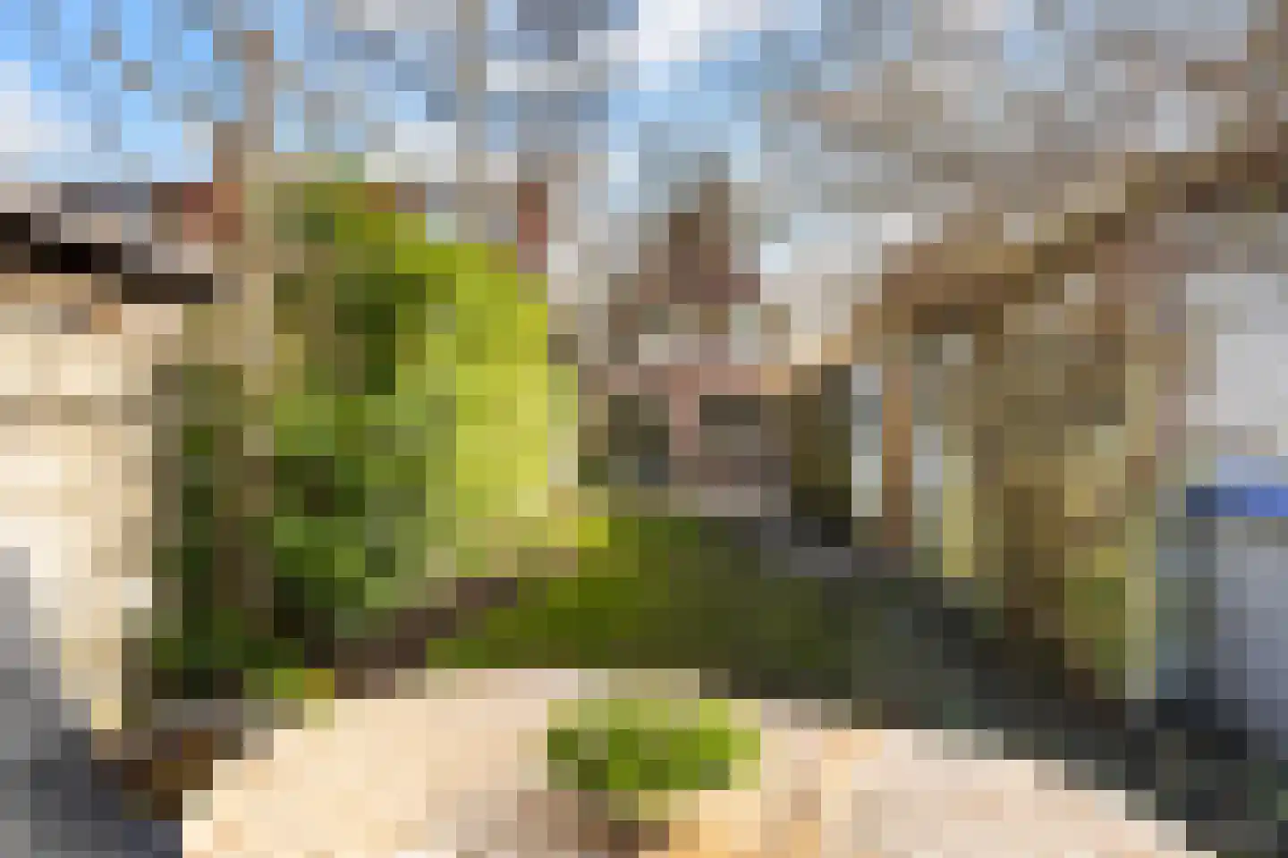 Waterweg 77 De Bilt thumbnail 49