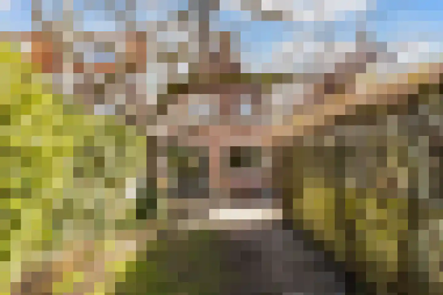 Waterweg 77 De Bilt thumbnail 51