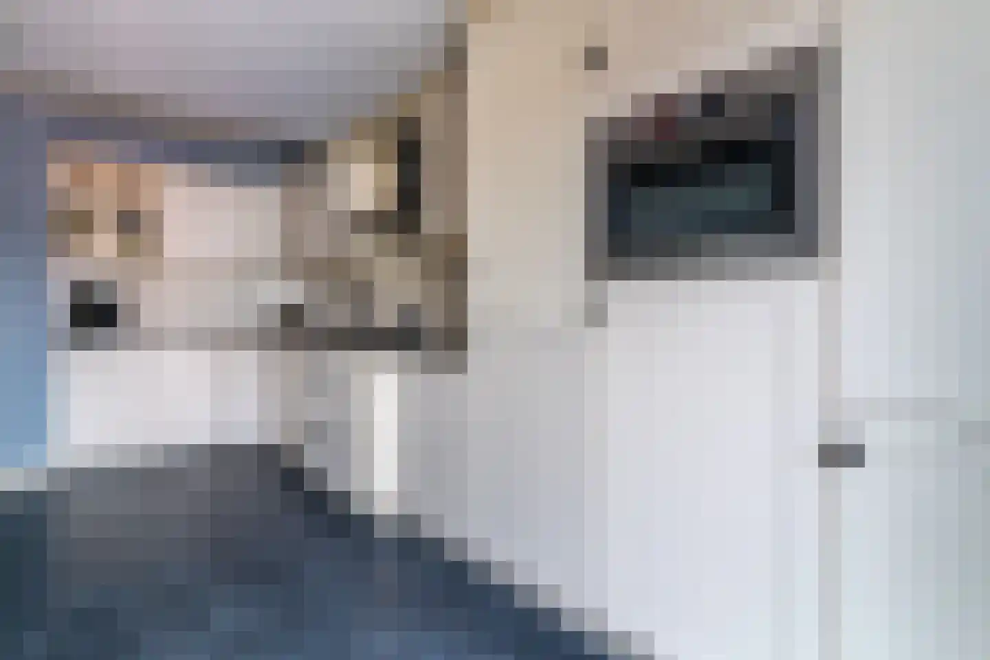 Waterweg 9 Nunspeet thumbnail 16