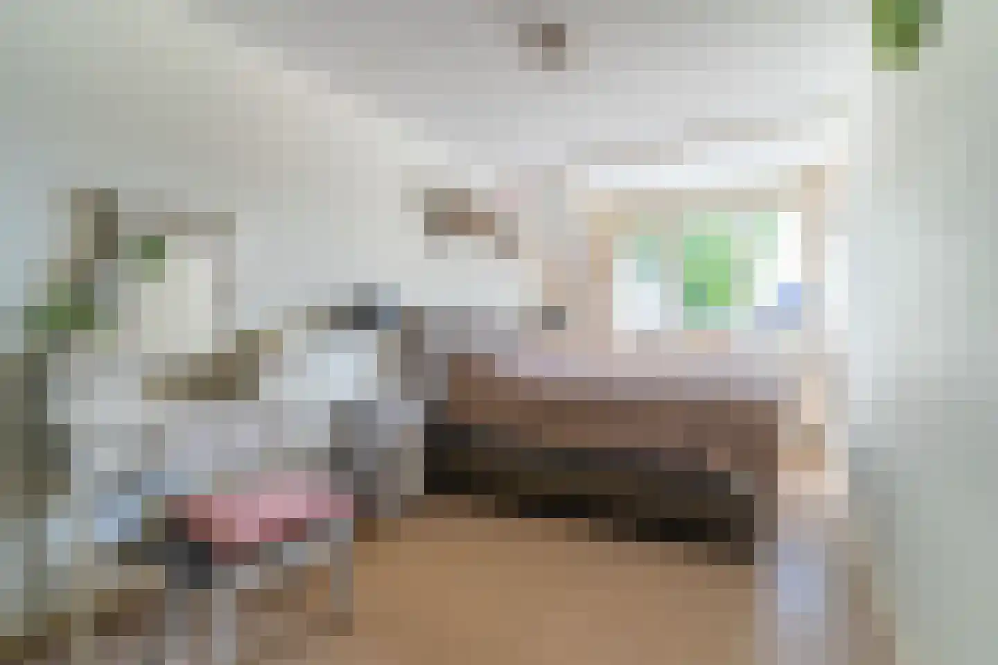 Waterweg 9 Nunspeet thumbnail 18