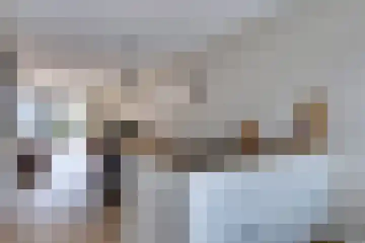 Waterweide 101 Grootebroek thumbnail 11