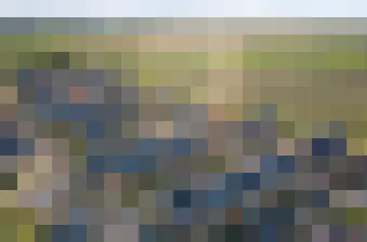 Waterweide 101 Grootebroek foto 2