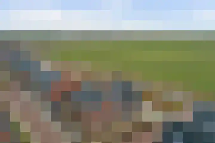 Waterweide 113 Grootebroek thumbnail 34