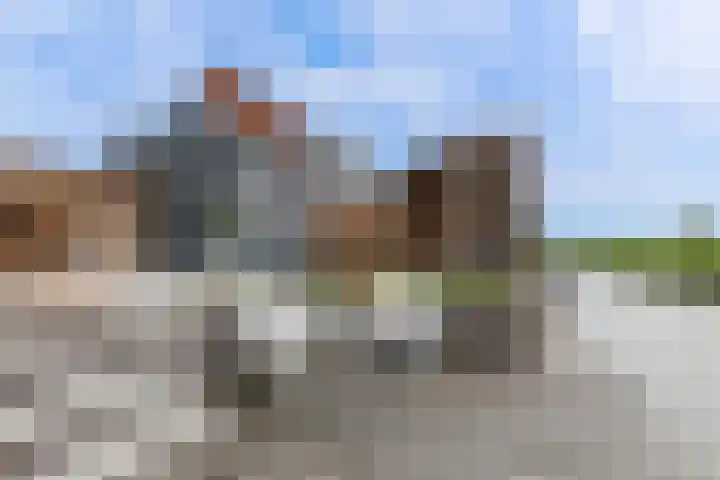 Waterweide 115 Grootebroek thumbnail 10