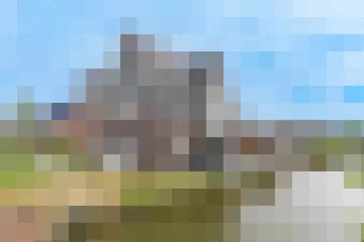 Waterweide 115 Grootebroek thumbnail 12