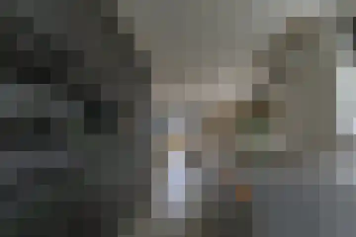 Waterweide 115 Grootebroek thumbnail 19