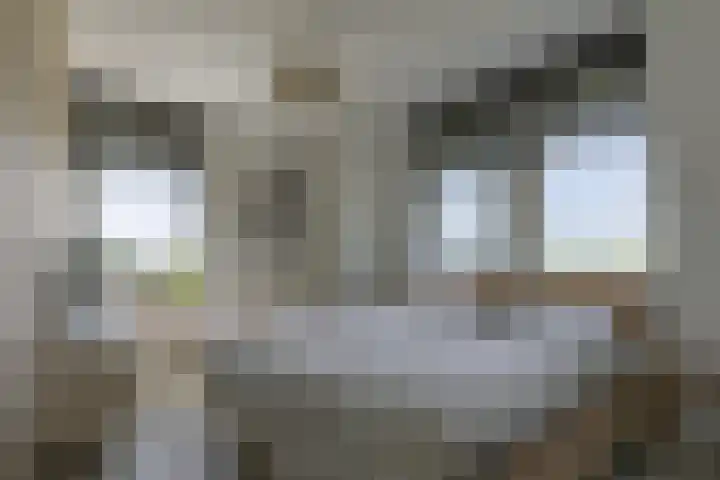 Waterweide 115 Grootebroek thumbnail 25