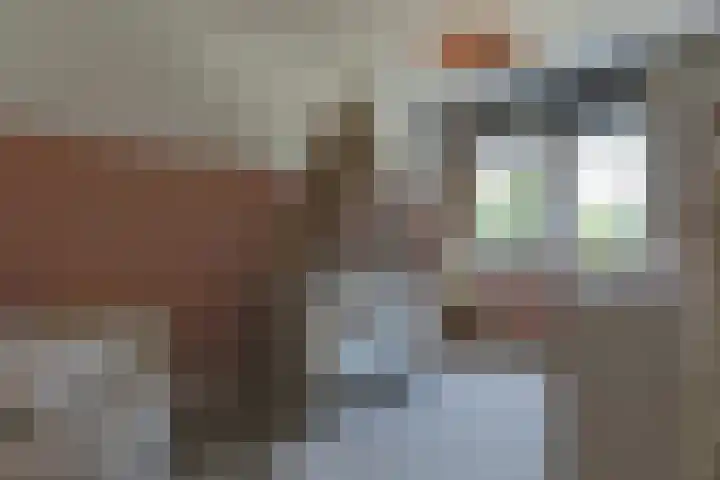 Waterweide 115 Grootebroek thumbnail 28