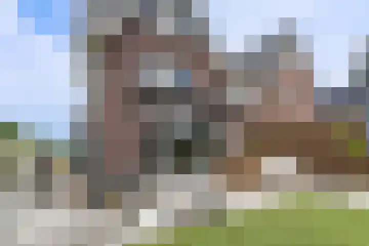 Waterweide 115 Grootebroek thumbnail 42