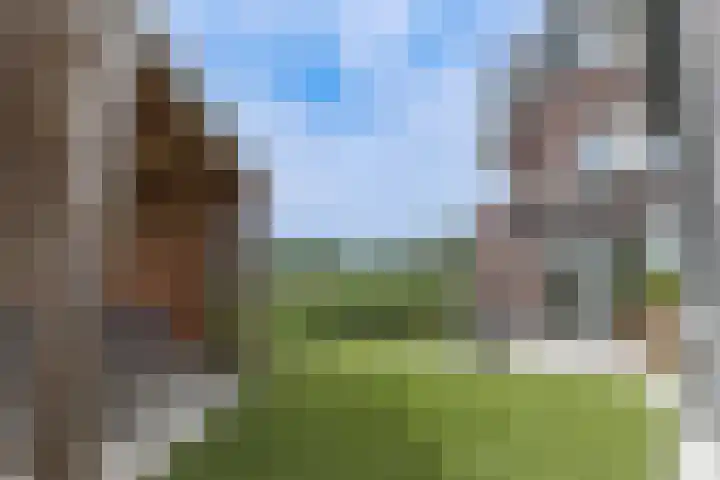 Waterweide 115 Grootebroek thumbnail 43