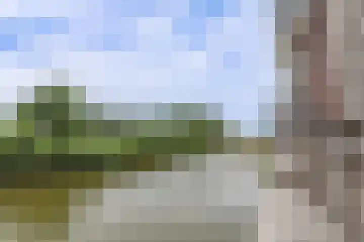 Waterweide 115 Grootebroek thumbnail 46
