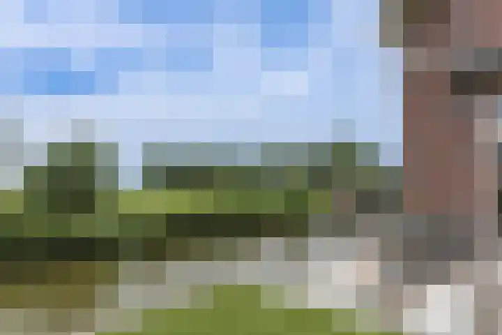 Waterweide 115 Grootebroek thumbnail 48