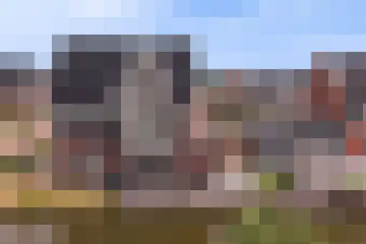 Waterweide 115 Grootebroek thumbnail 7