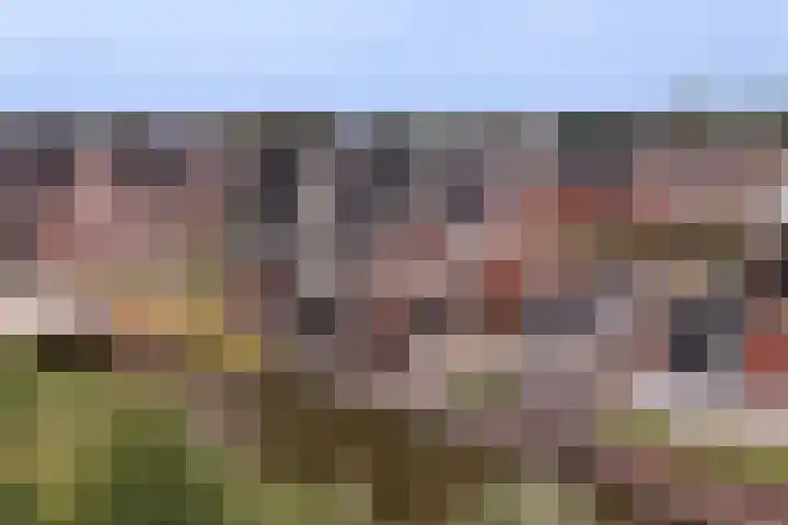 Waterweide 115 Grootebroek thumbnail 8