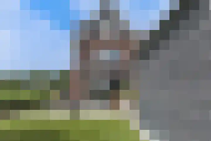 Waterweide 115 Grootebroek thumbnail 9