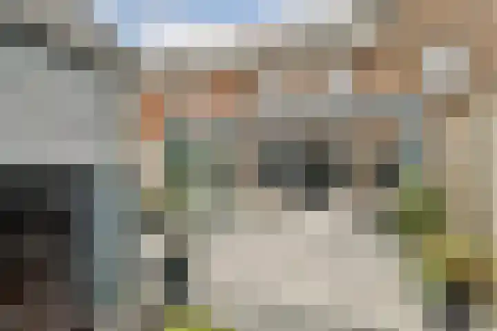Waterweide 80 Grootebroek thumbnail 15