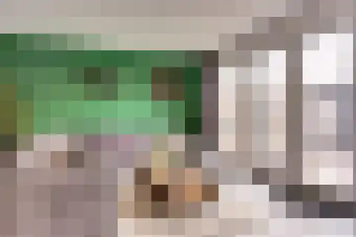 Waterweide 89 Grootebroek thumbnail 16