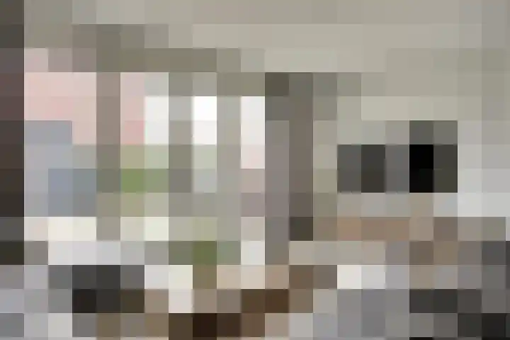 Waterweide 89 Grootebroek thumbnail 17
