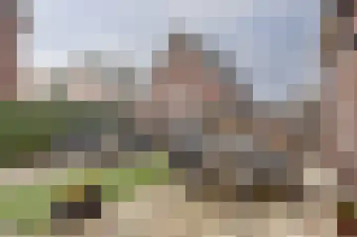 Waterweide 89 Grootebroek thumbnail 19