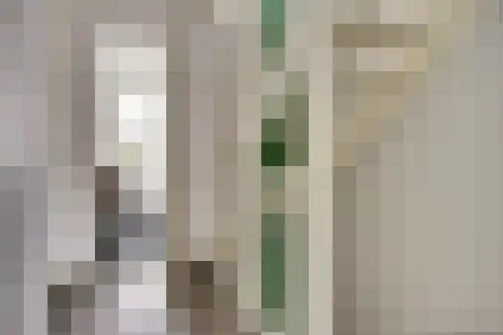 Waterweide 89 Grootebroek thumbnail 21