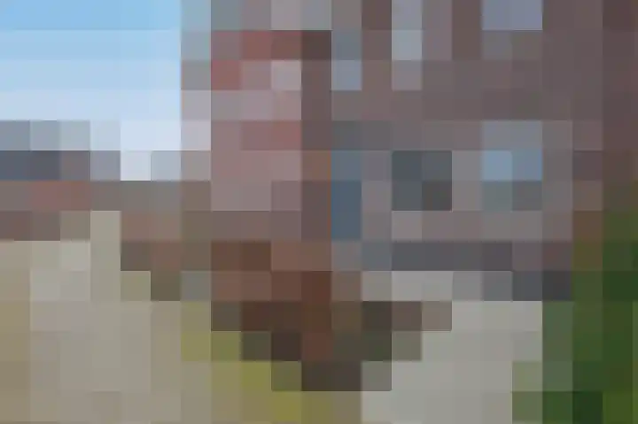 Waterweide 95 Grootebroek thumbnail 37