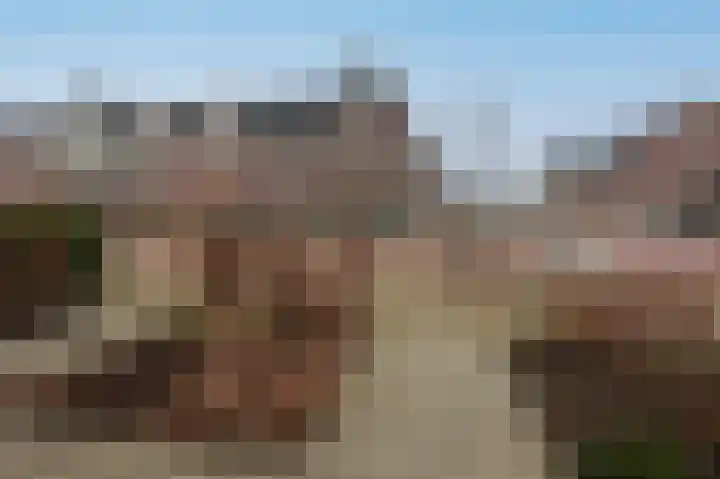 Waterweide 95 Grootebroek thumbnail 38