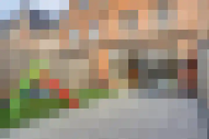 Waterweide 99 Grootebroek thumbnail 20