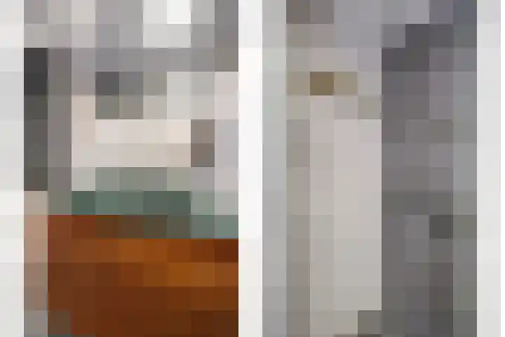 Waterweide 99 Grootebroek thumbnail 25