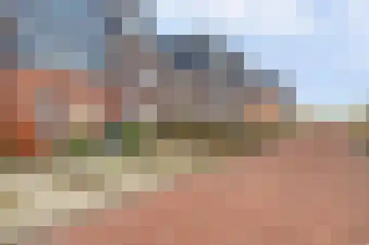 Waterweide 99 Grootebroek thumbnail 42