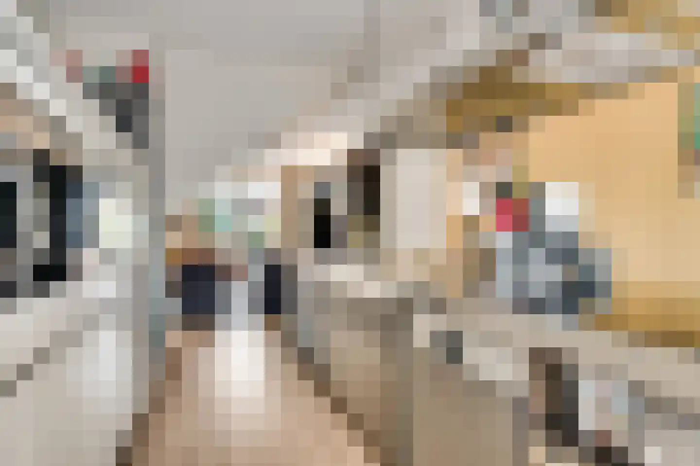 Waterwereld 128 Eindhoven thumbnail 14