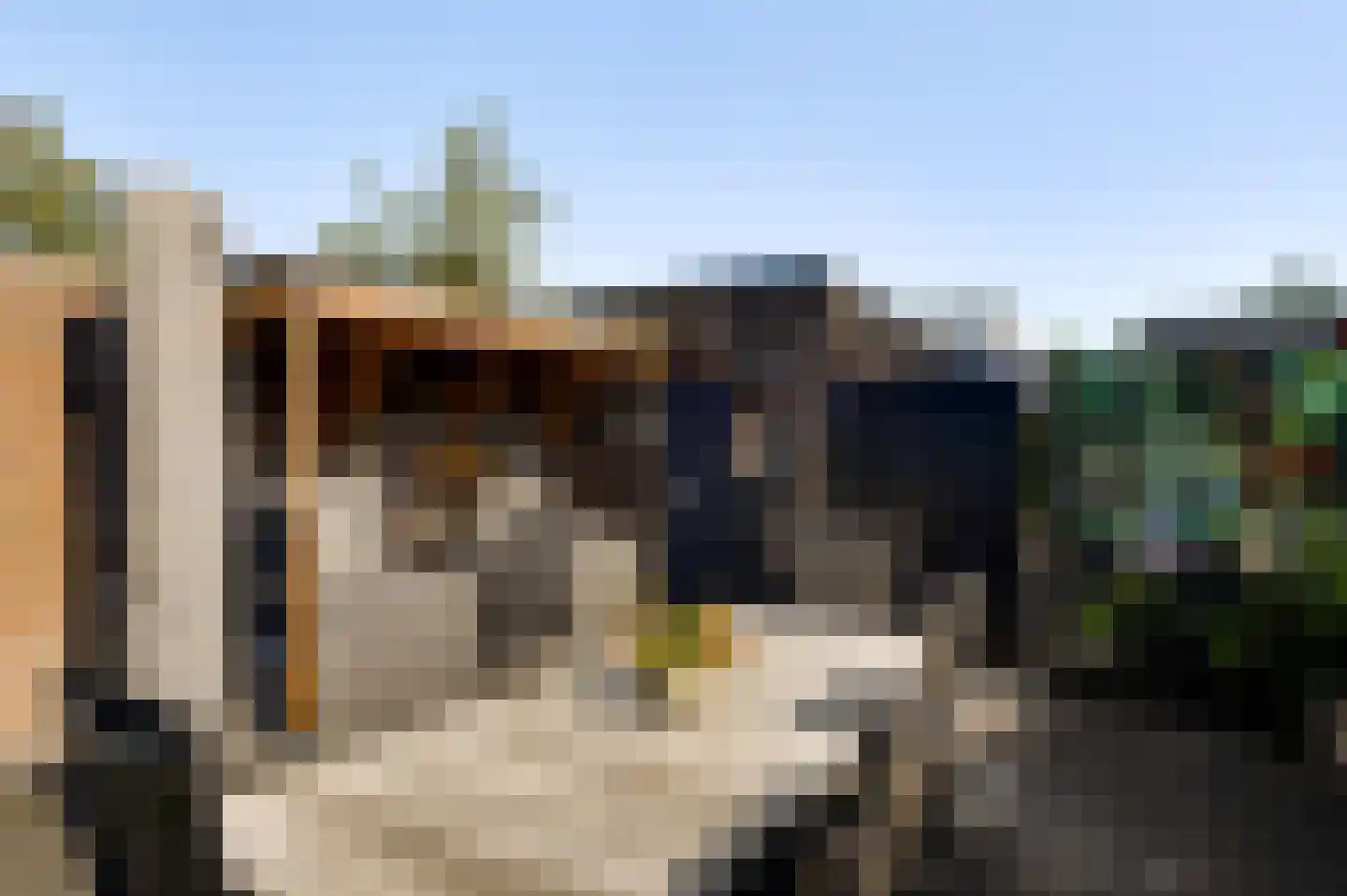 Waterwereld 128 Eindhoven thumbnail 36