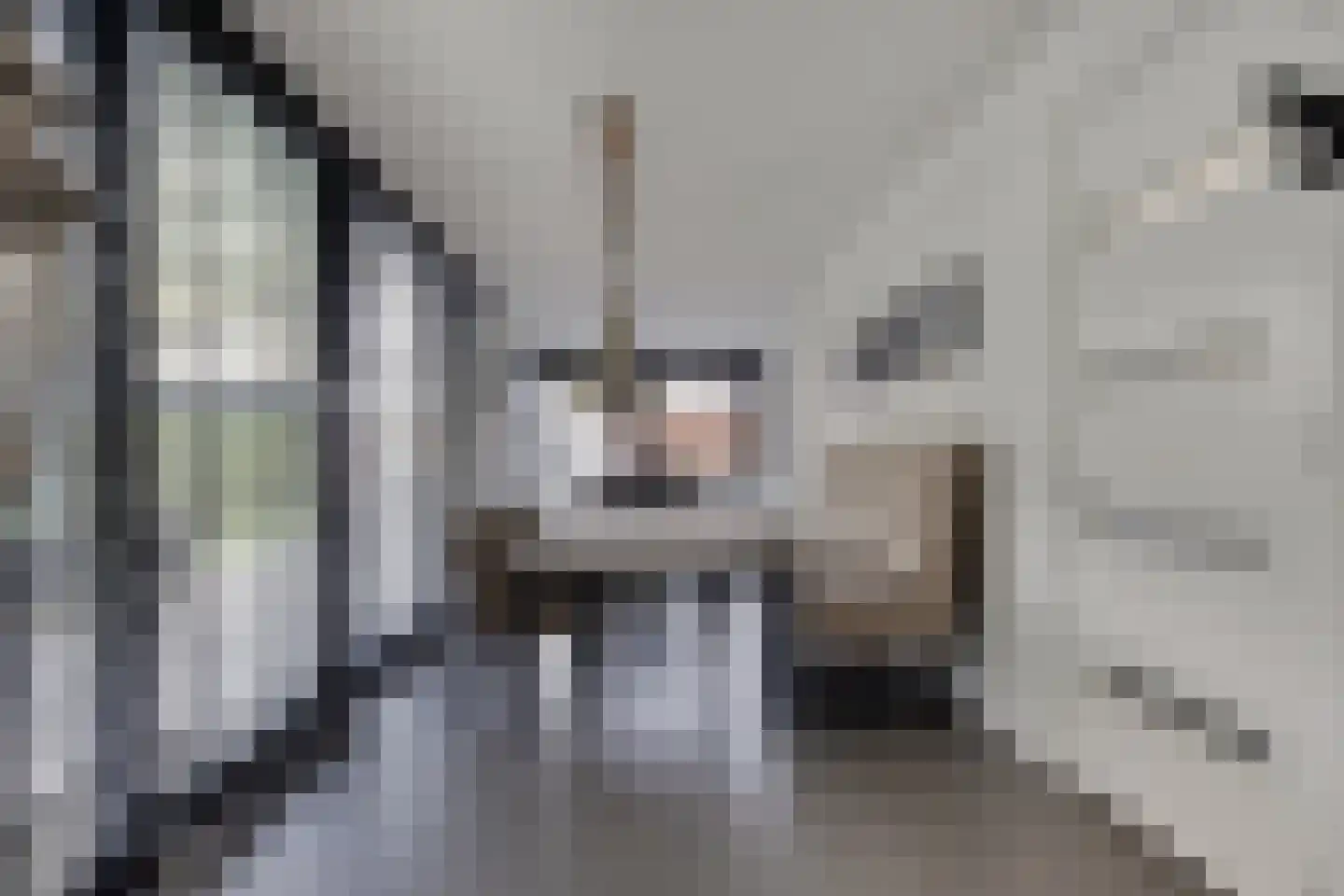 Waterwereld 144 Eindhoven thumbnail 10