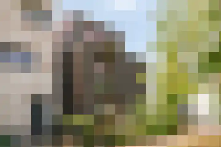 Waterwereld 50 in Eindhoven