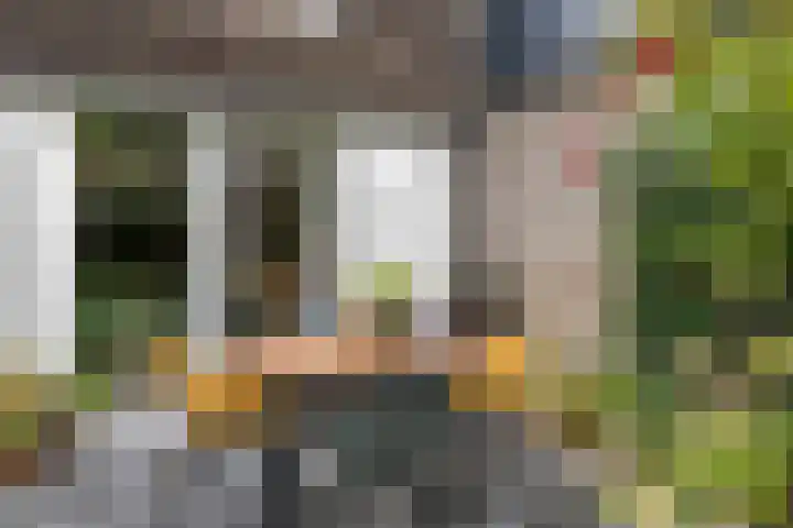 Waterwereld 50 Eindhoven thumbnail 38